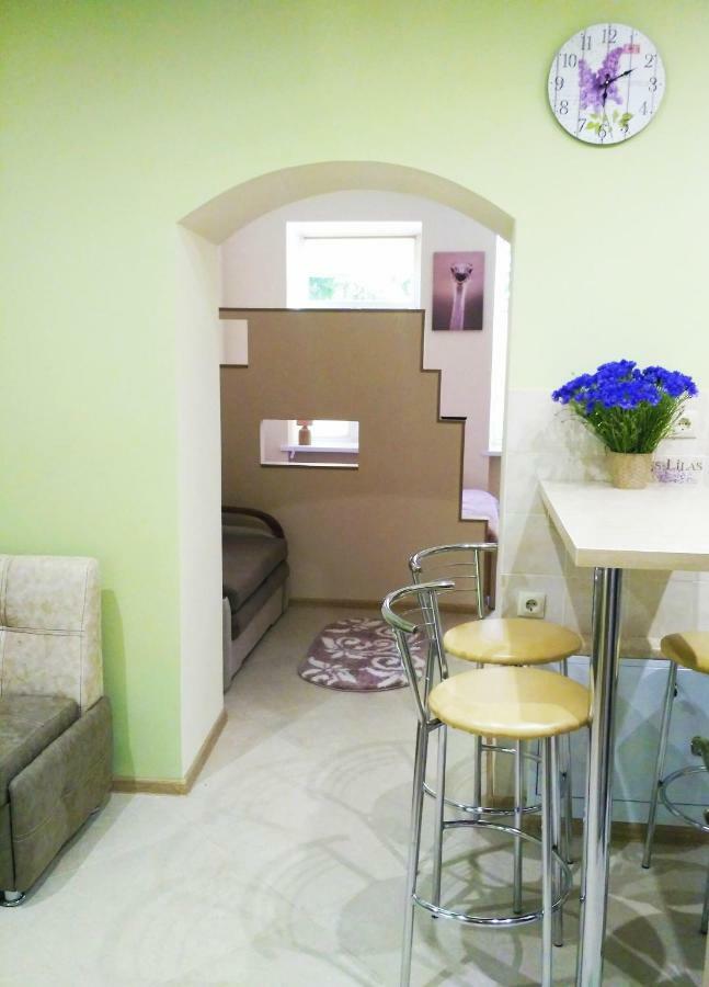 Apartment M&K In The Center Lviv Kültér fotó